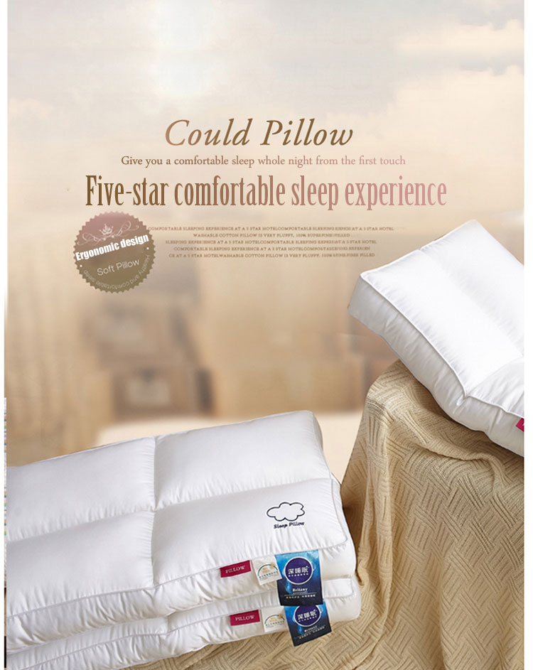 Environmental Highest Rated Pillows