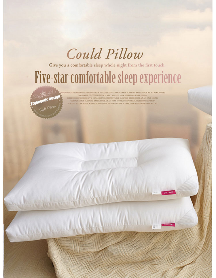 Comfort Pillow for Apartment