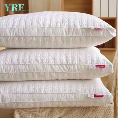 professionelle Universität kleine Kissen