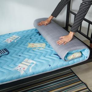 Mattress Pad Sleepover Bed Comfortable