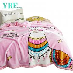 Cosy 2 Ply The Blanket